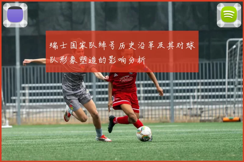 瑞士国家队绰号历史沿革及其对球队形象塑造的影响分析