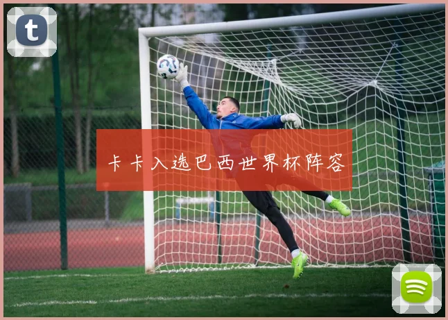 卡卡入选巴西世界杯阵容